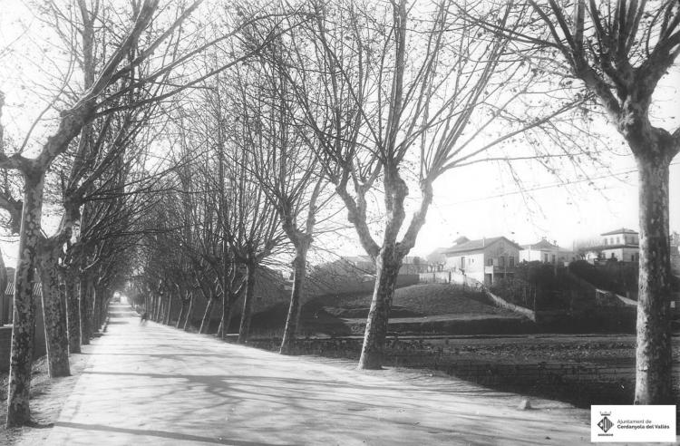 Av. Flor de maig. Vinyes.