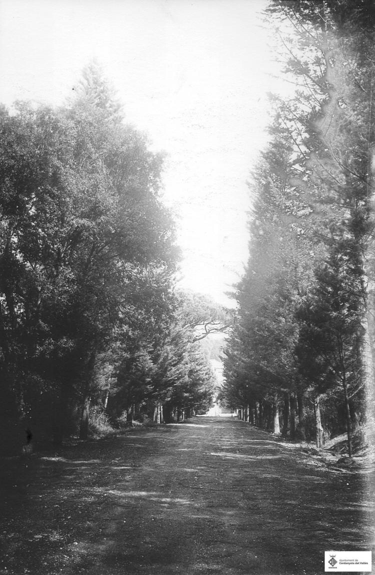 Camí de Can Catà. Tanca