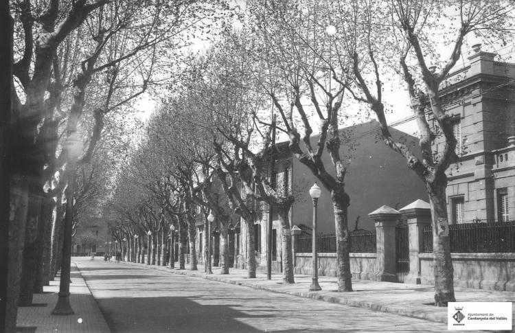 Av. Catalunya. Plataners