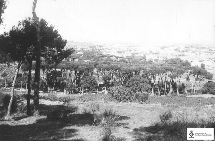 Pionetons del Turonet
