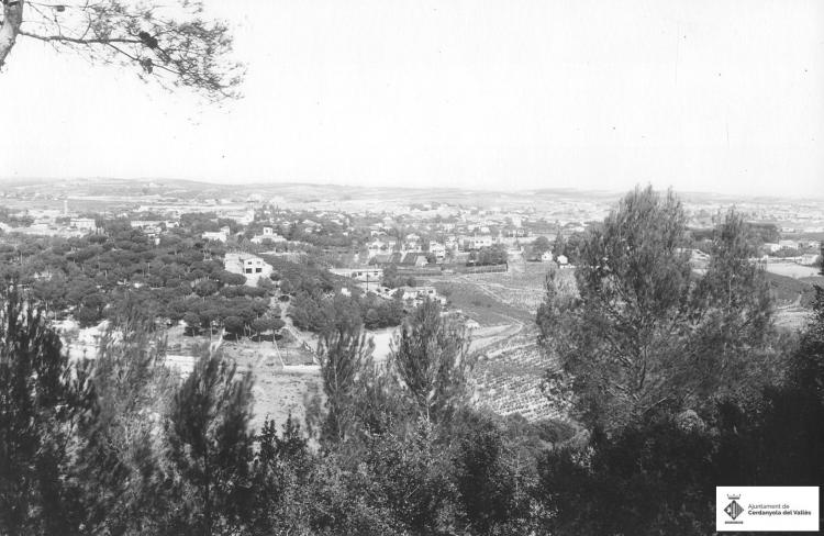 Vinyes vistes des de Collserola.