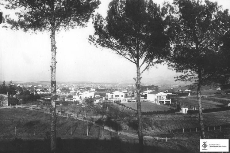 Vinyes des del Turonet