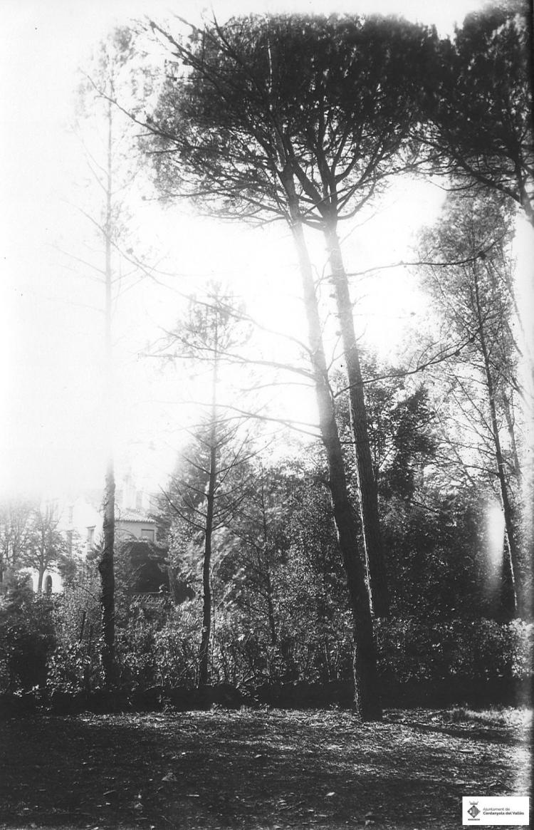 Can Catà. Pinetons.