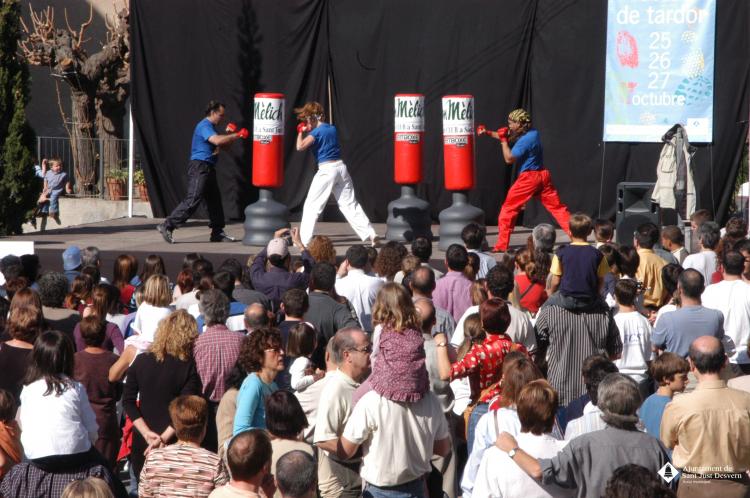 Festes Tardor -Exhibició de Tae Kwondo Loto i Fitboxe