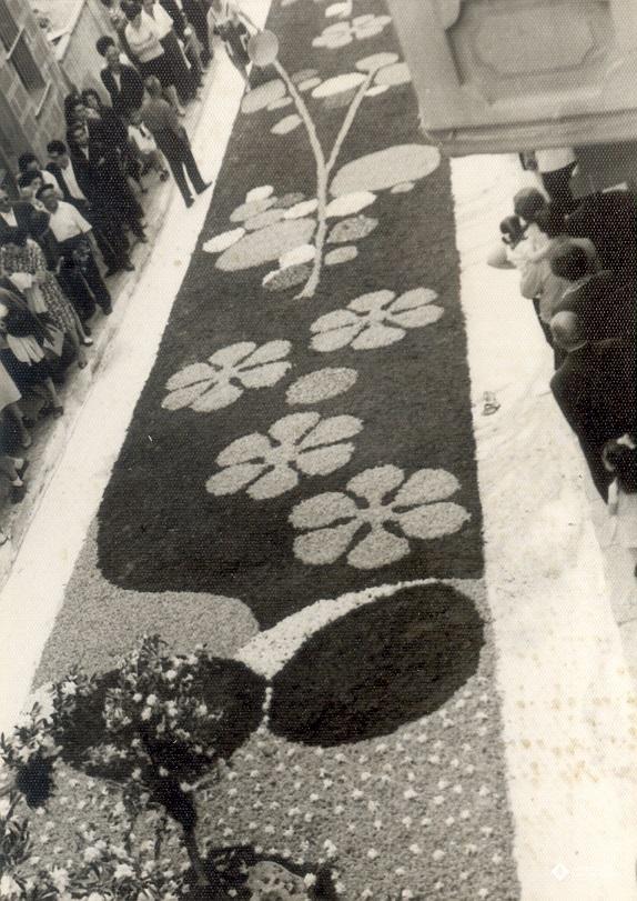 Catifes de flors;Altar troncs i rocalla;Trebol sis fulles;
