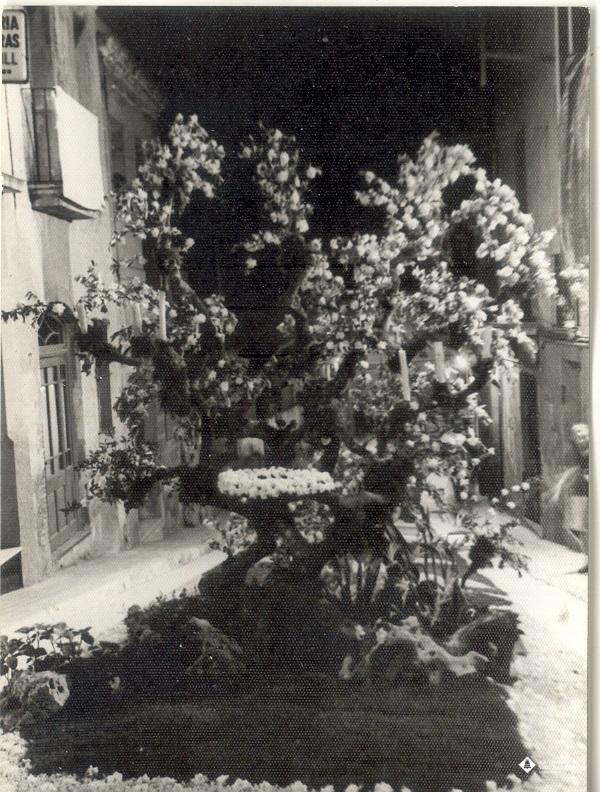 Catifes de flors. Altar arbre i rocalla