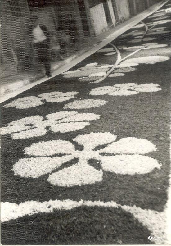 Catifes de flors. Altar troncs i rocalla. Trebol sis fulles. 