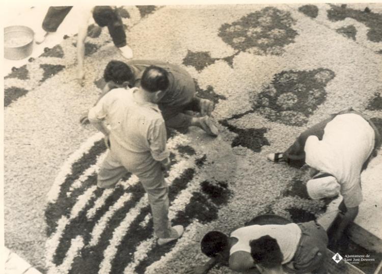 Catifes de flors.