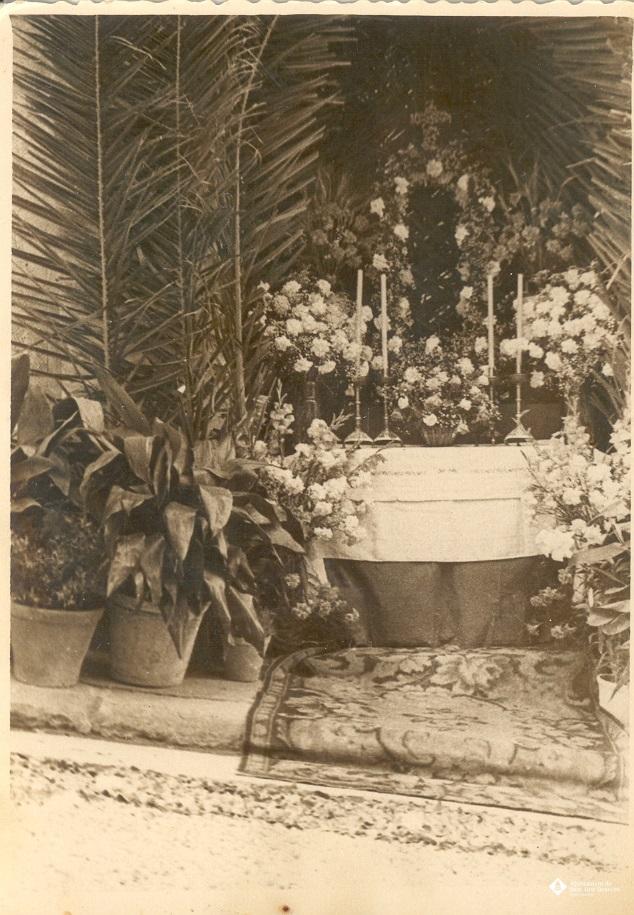 Catifes de flors.