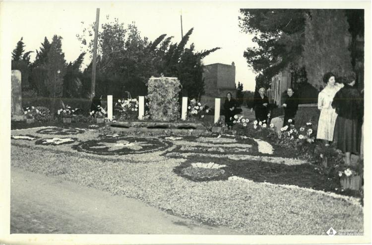Catifes de flors.