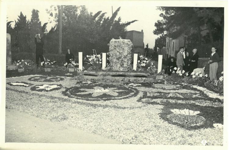 Catifes de flors.