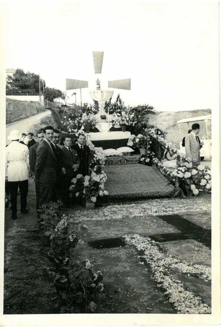 Catifes de flors.