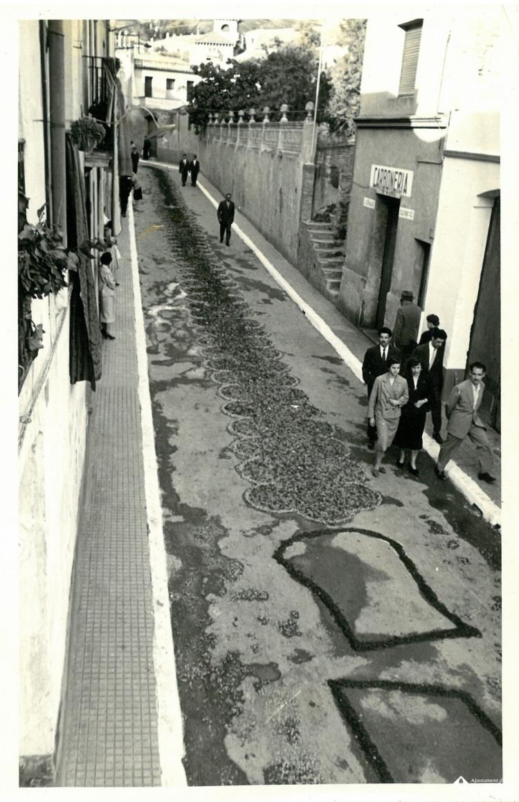 Catifes de flors.