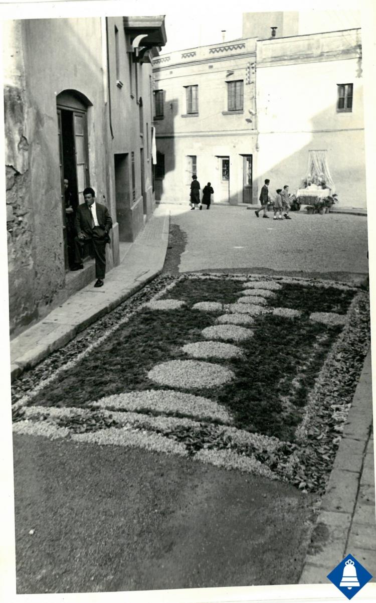 Catifes de flors.