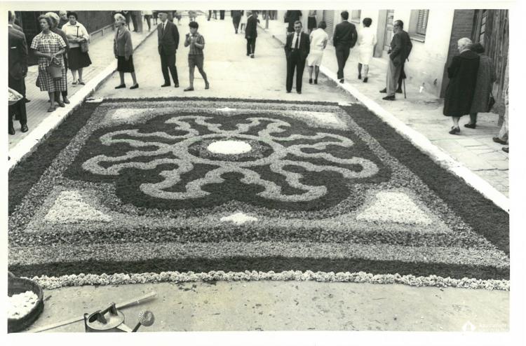Catifes de flors.