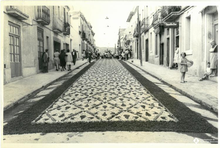 Catifes de flors.