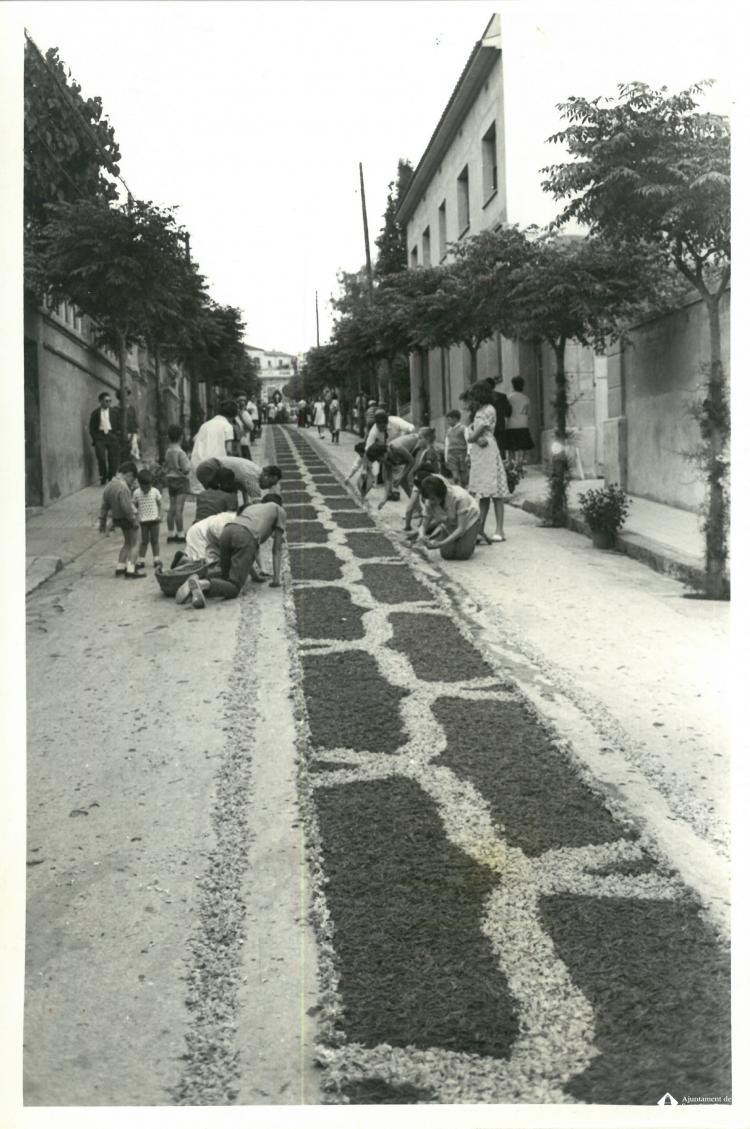 Catifes de flors.