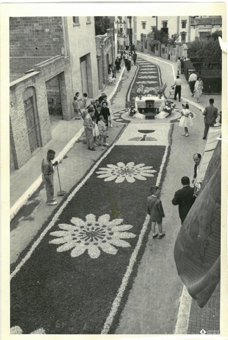 Catifes de flors.