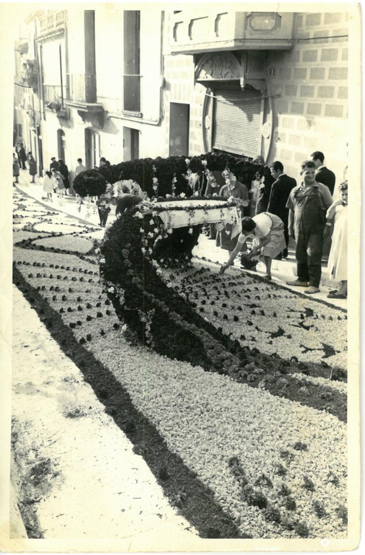 Catifes de flors. Altar pavo real