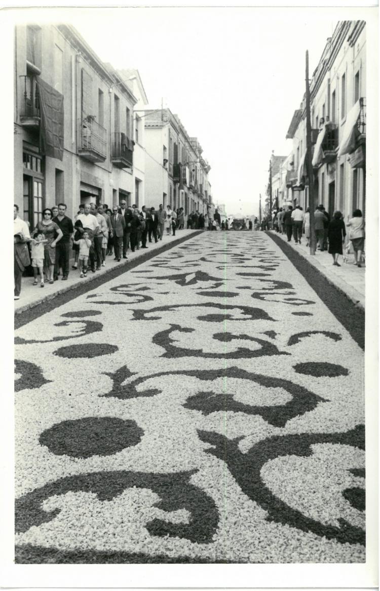 Catifes de flors.