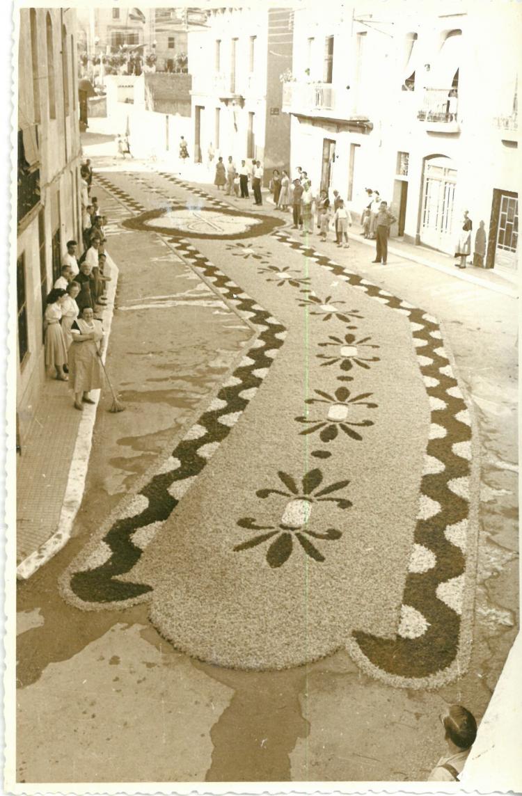 Catifes de flors.