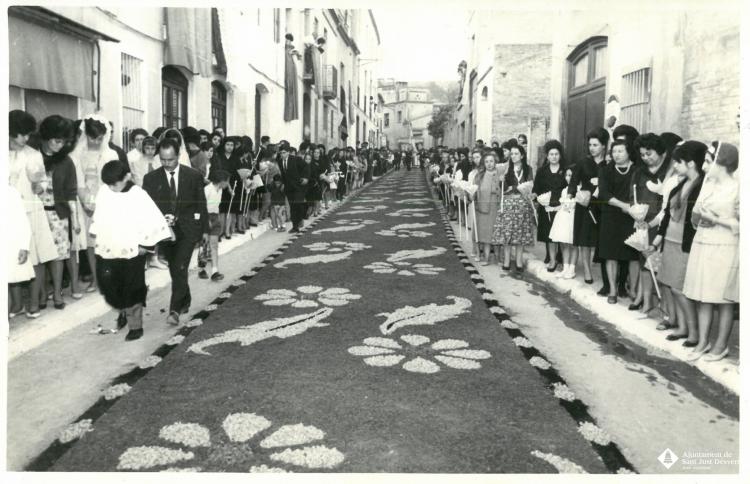 Catifes de flors.