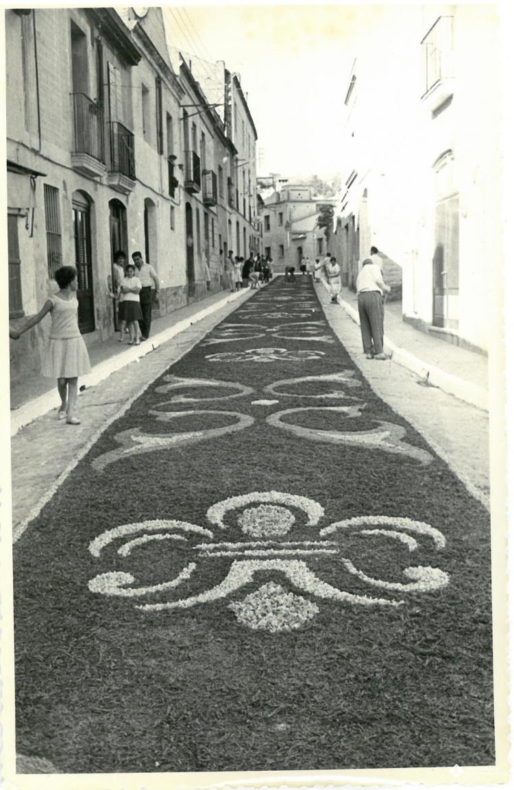 Catifes de flors.