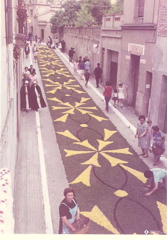 Catifes de flors.