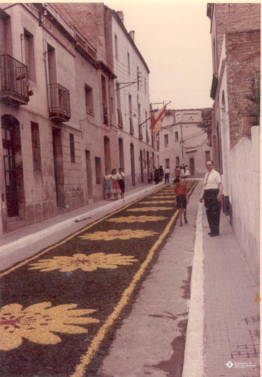 Catifes de flors.