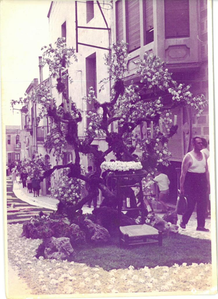 Catifes de flors. Altar arbre i rocalla.