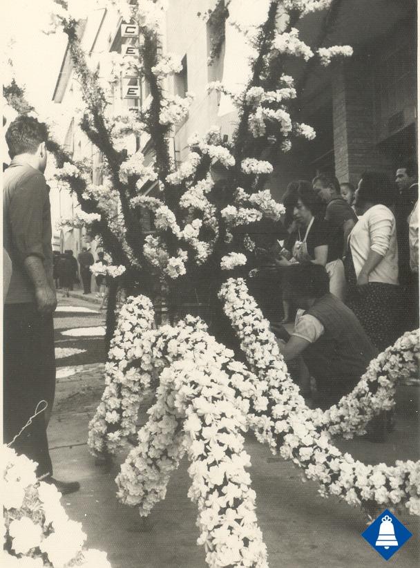 Catifes de flors. Troncs drets