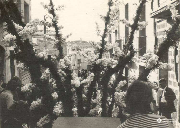 Catifes de flors. Troncs drets