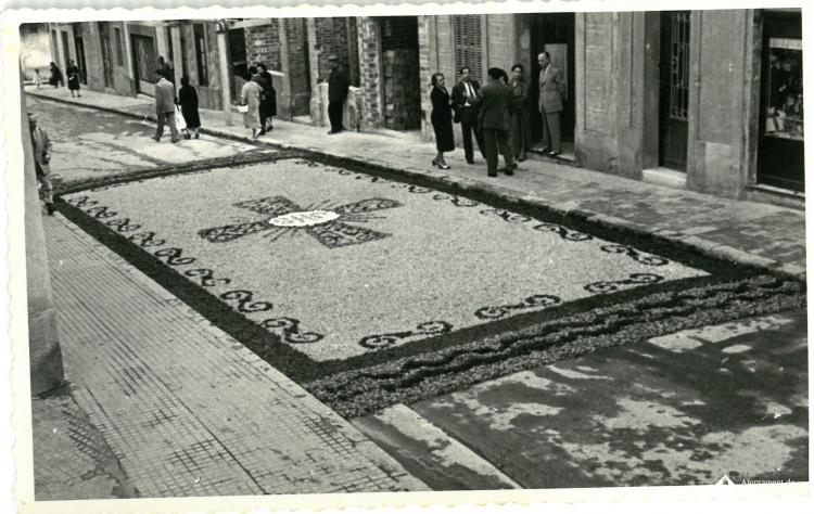 Catifes de flors.