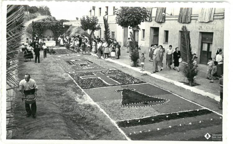 Catifes de flors.