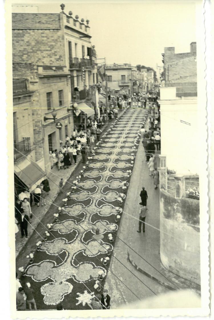 Catifes de flors.Forn Milà