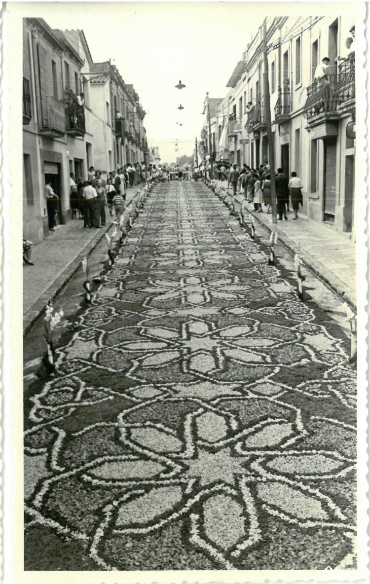 Catifes de flors.