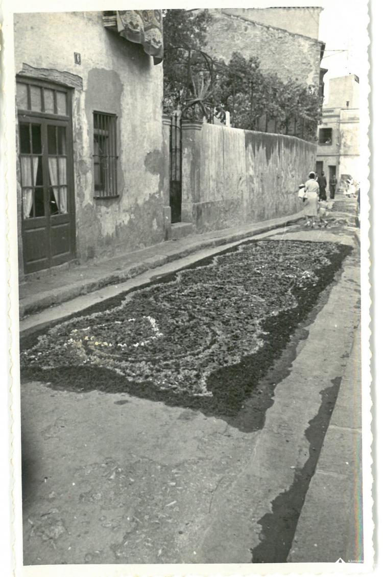 Catifes de flors.