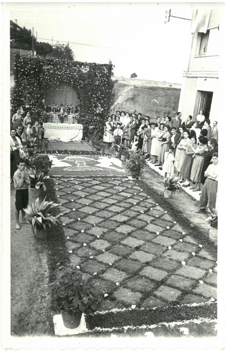 Catifes de flors.
