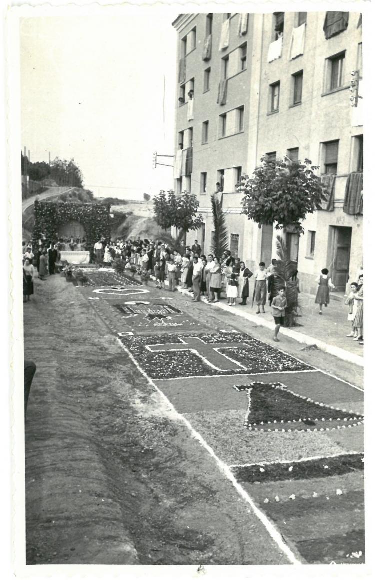 Catifes de flors.