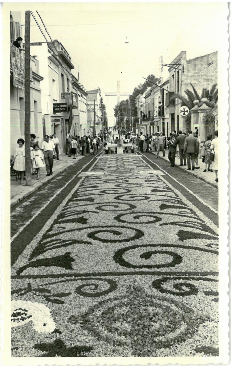 Catifes de flors.