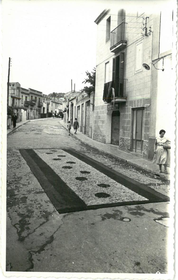 Catifes de flors.