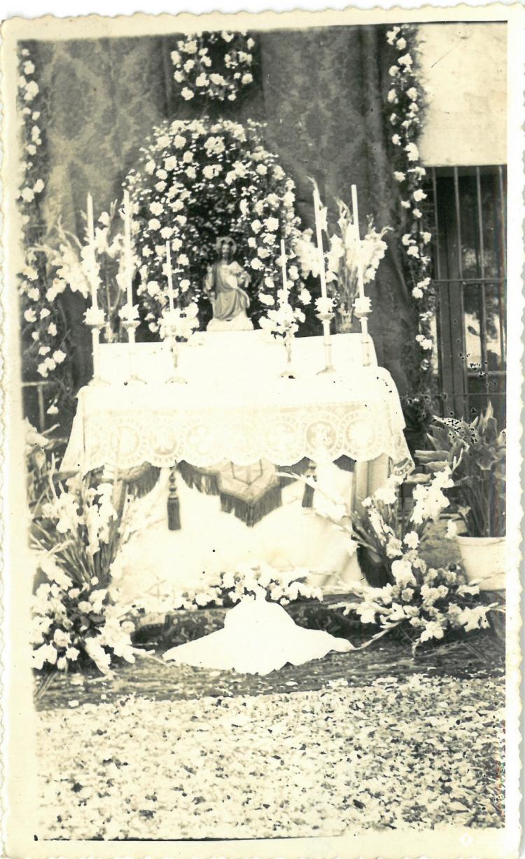 Catifes de flors.