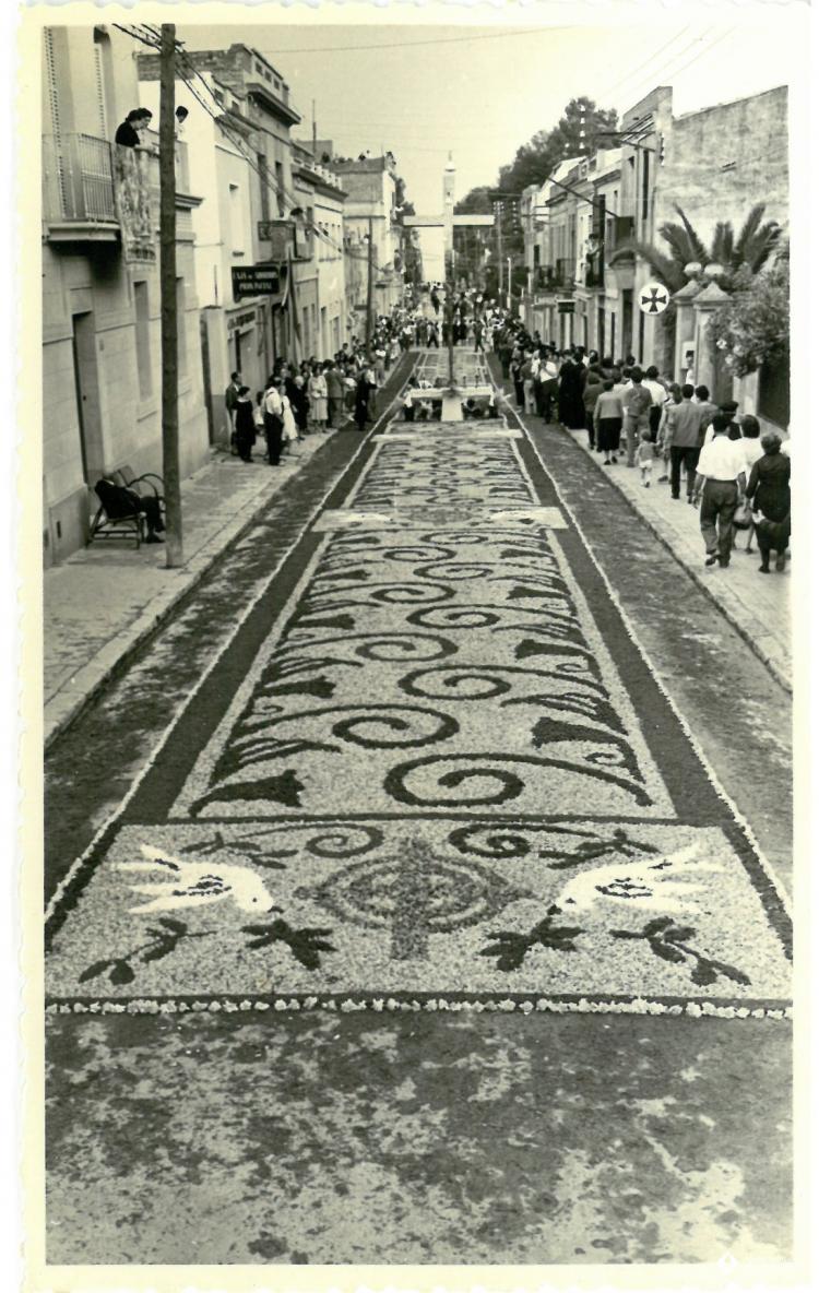 Catifes de flors.