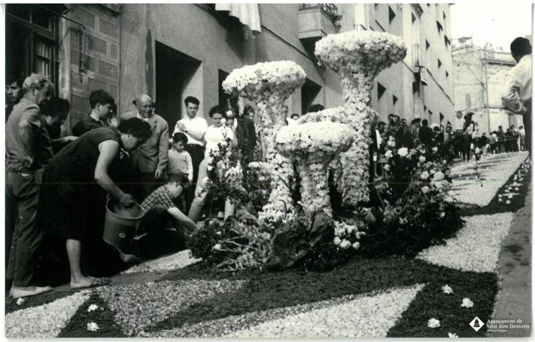 Catifes de flors. Altar bolets. Preparatius.