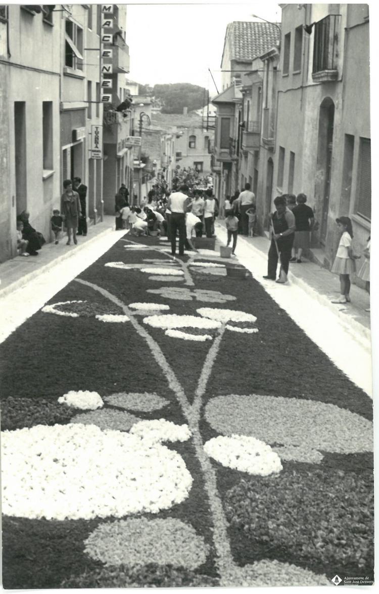 Catifes de flors. Altar troncs i rocalla. Preparatius