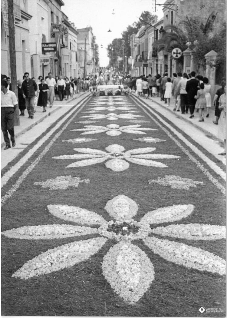 Catifes de flors. Preparatius