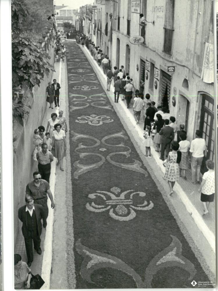Catifes de flors. Preparatius