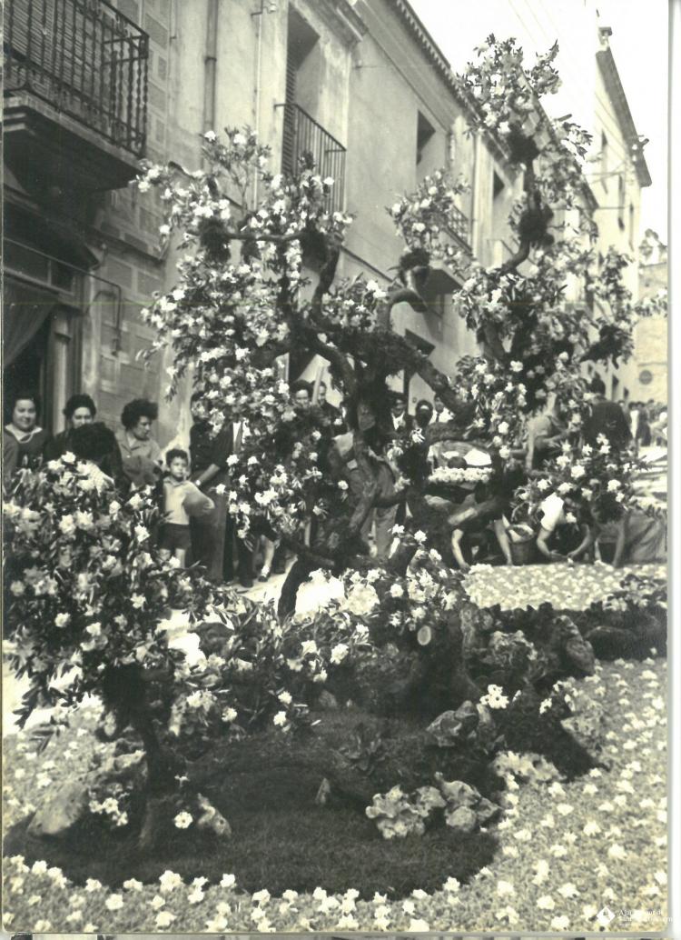 Catifes de flors. Altar troncs i rocalla. 