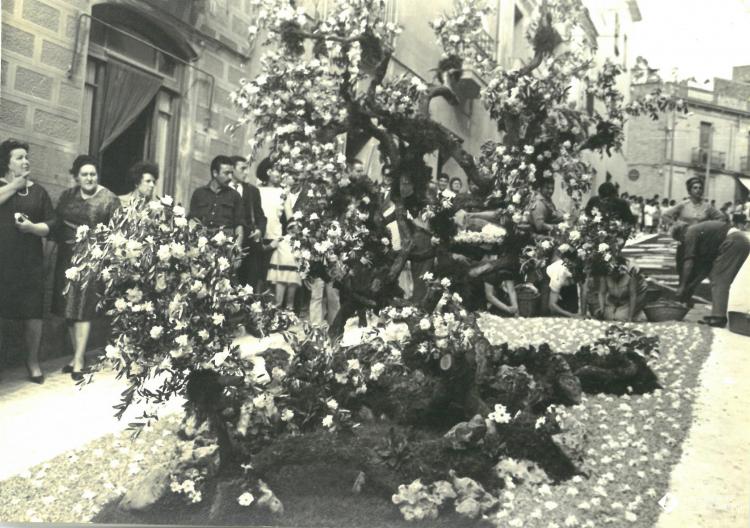 Catifes de flors. Altar troncs i rocalla. Preparatius