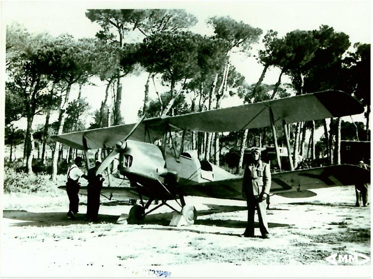 Avió d'entrenament Tiger Moth de l'Aeròdrom 329